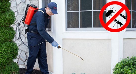 Hopa Böcek İlaçlama böcek ilaçlama ve haşere kontrolü — ilaclama-tr.com